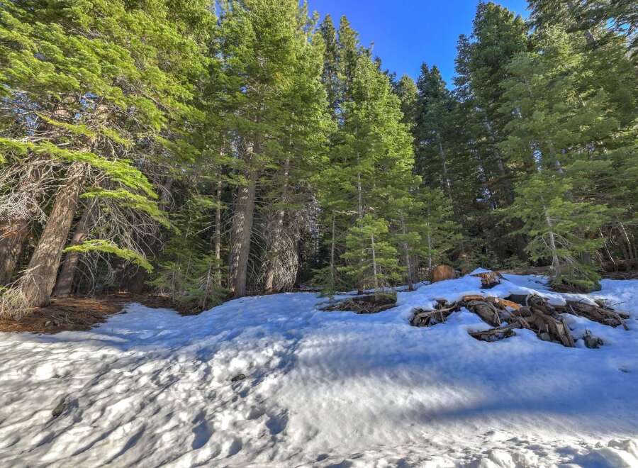 Discover the serene beauty of this mountain property, nestled amongst towering evergreen trees.