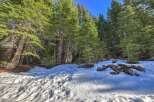 Discover the serene beauty of this mountain property, nestled amongst towering evergreen trees.