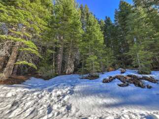 Discover the serene beauty of this mountain property, nestled amongst towering evergreen trees.