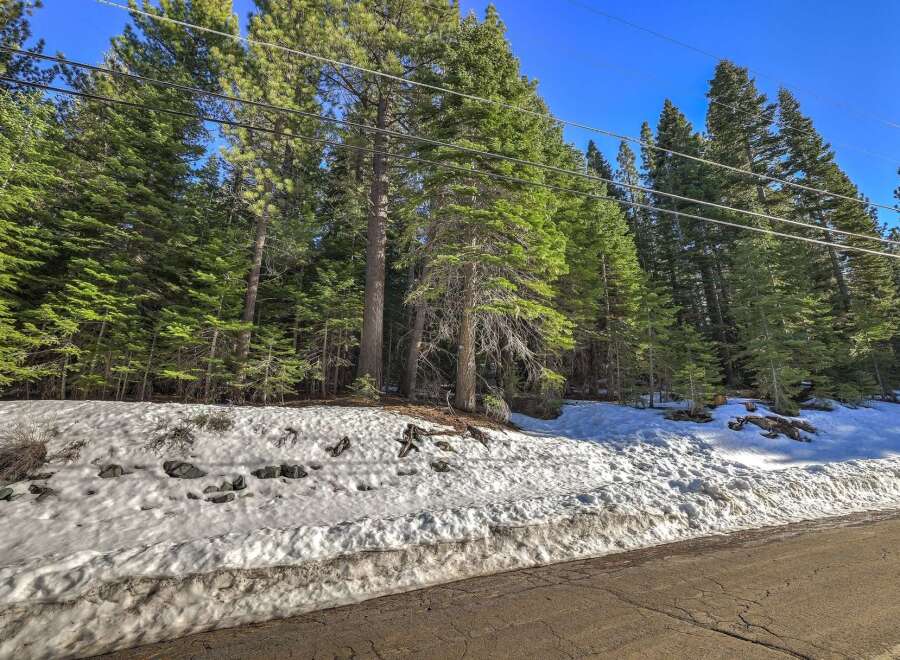 Experience the serene beauty of this mountain property, nestled amidst a dense forest of towering pine trees.