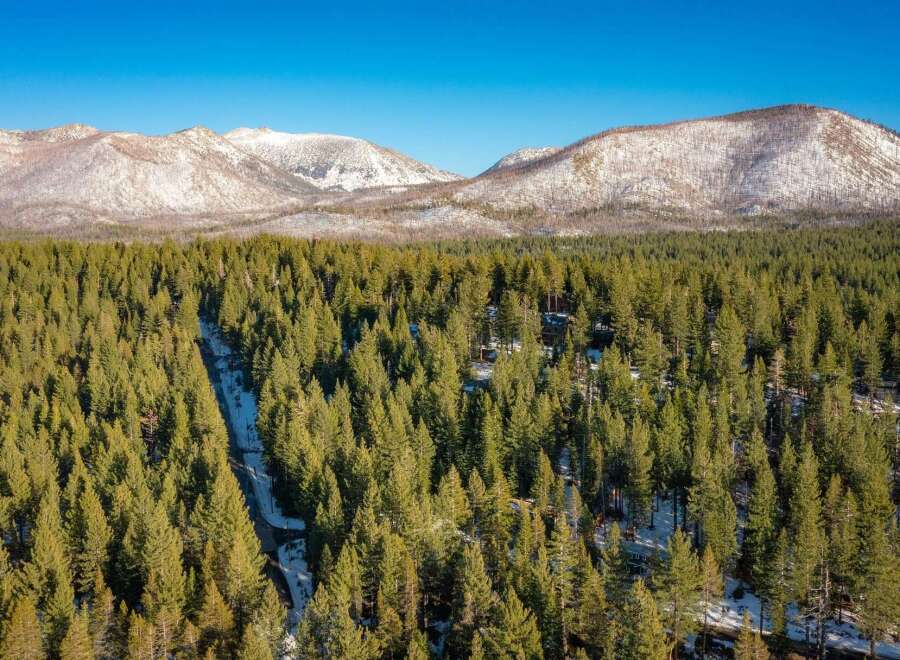 Experience the serene beauty of this mountain retreat, nestled amidst a dense evergreen forest with snow-capped peaks in the distance.