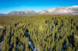 Discover your dream mountain escape with this stunning aerial view of a vast evergreen forest.
