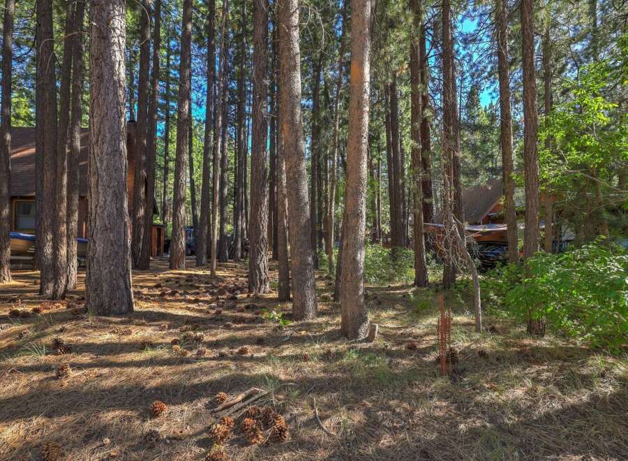 Nestled within a serene pine forest, this property offers a tranquil escape with abundant natural beauty.