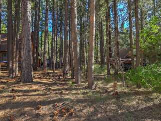 Nestled within a serene pine forest, this property offers a tranquil escape with abundant natural beauty.