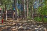 Nestled amidst tall pine trees, this charming cabin offers a serene retreat.