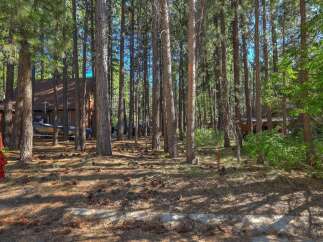 Nestled amidst tall pine trees, this charming cabin offers a serene retreat.