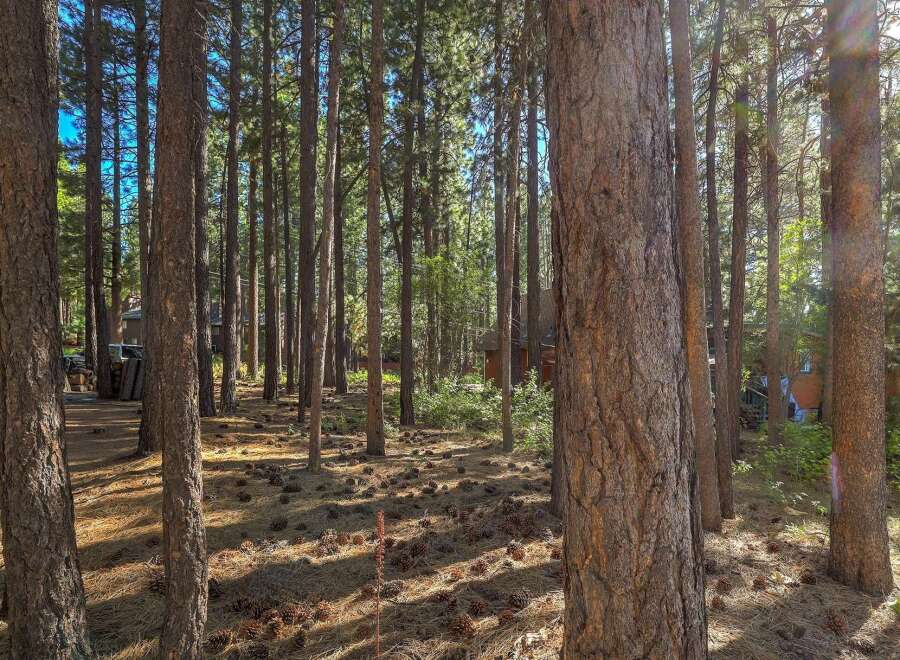 Nestled within a serene pine forest, this property offers a tranquil escape with abundant natural beauty.