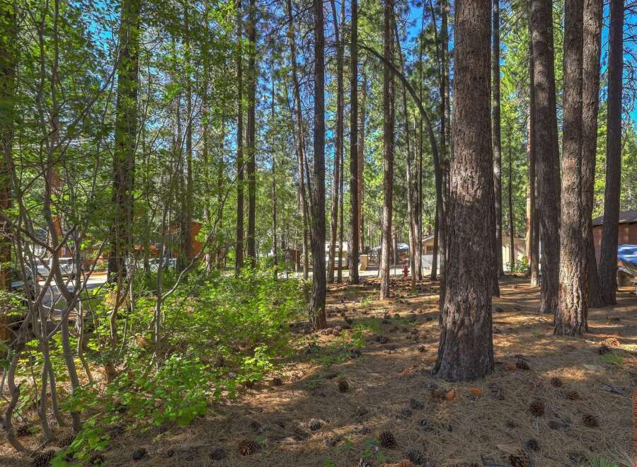 Nestled among tall pine trees, this property offers a serene and private wooded setting.