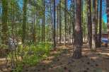 Nestled among tall pine trees, this property offers a serene and private wooded setting.