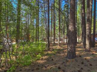 Nestled among tall pine trees, this property offers a serene and private wooded setting.