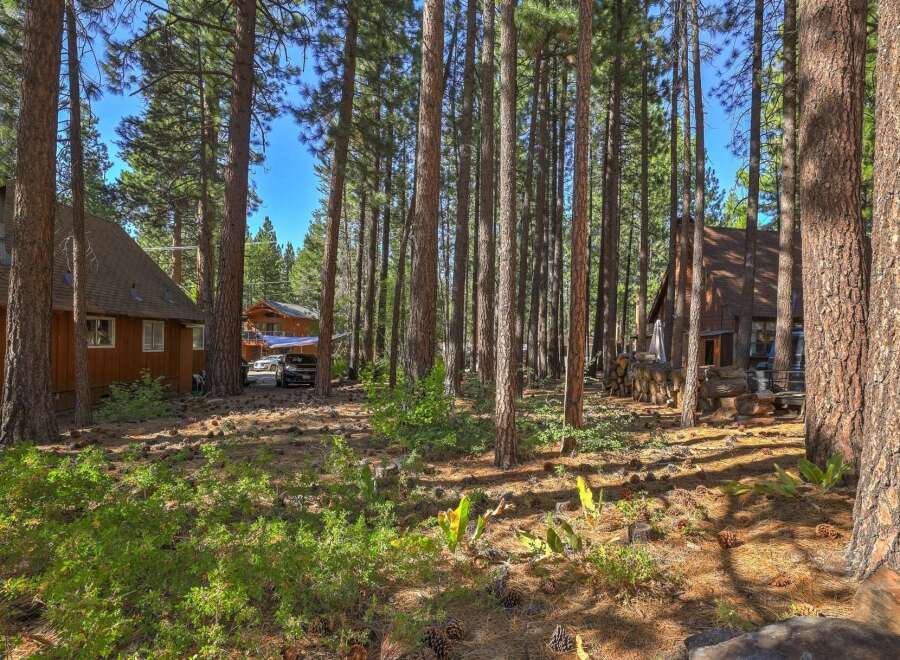 Nestled among towering pine trees, this charming property offers a serene escape.