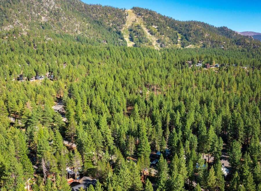 Nestled amidst a dense forest of pine trees, this property offers a serene mountain retreat.