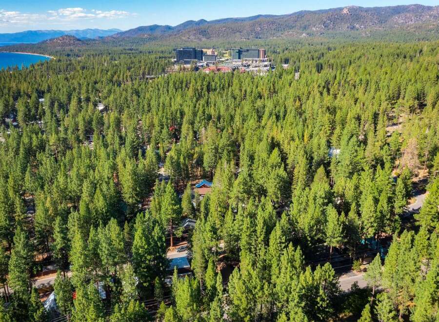 Nestled amidst a dense forest of towering pine trees, this property offers a serene and private retreat.