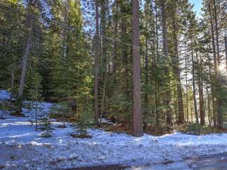 Nestled amidst a serene pine forest, this property offers a tranquil escape with abundant natural beauty.
