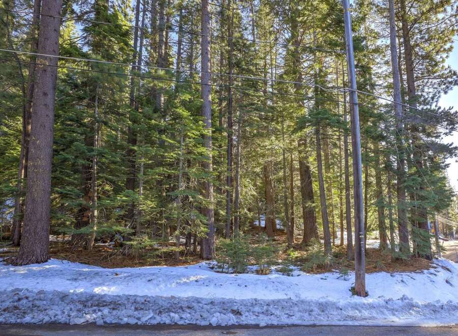 Nestled amidst a serene pine forest, this property offers a tranquil escape with abundant natural beauty.