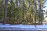 Nestled amidst a serene pine forest, this property offers a tranquil escape with abundant natural beauty.