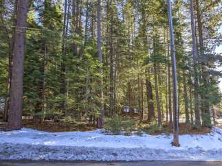Nestled amidst a serene pine forest, this property offers a tranquil escape with abundant natural beauty.