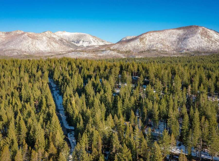 Experience the serene beauty of this mountain retreat, nestled amidst a dense evergreen forest with snow-capped peaks in the distance.