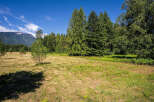 Discover this stunning property with a vast, open meadow perfect for outdoor activities and relaxation.