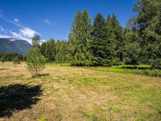 Discover this stunning property with a vast, open meadow perfect for outdoor activities and relaxation.