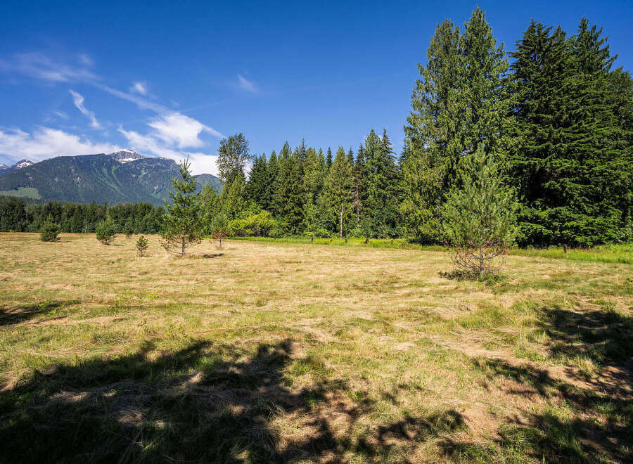 Discover this expansive meadow, perfect for outdoor activities or potential development, bordered by a lush, mature forest.
