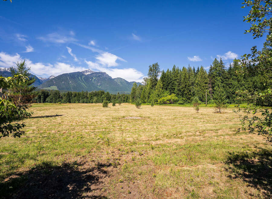Discover this expansive open field, perfect for a variety of uses, bordered by a lush forest and majestic mountains.
