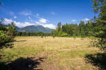 Discover this expansive open field, perfect for a variety of uses, bordered by a lush forest and majestic mountains.
