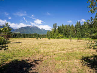 Discover this expansive open field, perfect for a variety of uses, bordered by a lush forest and majestic mountains.