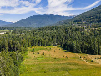 Discover an expansive rural property nestled amidst a lush, green forest and rolling meadows.