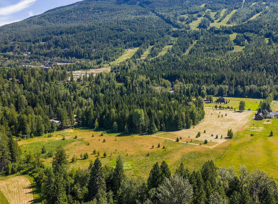 Discover this expansive property nestled amidst a lush, green forest with stunning mountain views.