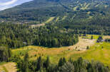 Discover this expansive property nestled amidst a lush, green forest with stunning mountain views.