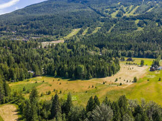 Discover this expansive property nestled amidst a lush, green forest with stunning mountain views.