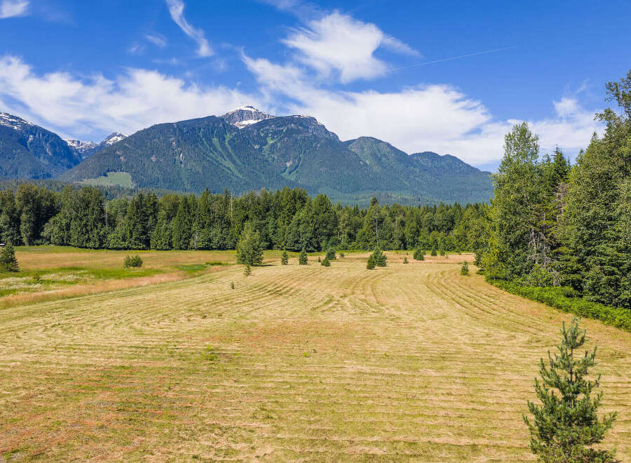 Experience the serene beauty of this expansive rural property, featuring a freshly mown hayfield ready for harvest.