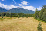 Experience the serene beauty of this expansive rural property, featuring a freshly mown hayfield ready for harvest.