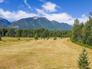 Experience the serene beauty of this expansive rural property, featuring a freshly mown hayfield ready for harvest.