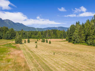 Discover this expansive rural property, featuring a vast, freshly mown field perfect for agricultural use or recreational activities.