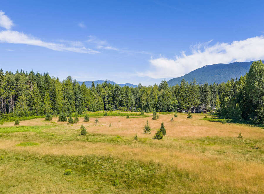 Discover your private oasis with this stunning property, featuring a spacious meadow perfect for outdoor activities and surrounded by lush, mature trees.