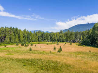 Discover your private oasis with this stunning property, featuring a spacious meadow perfect for outdoor activities and surrounded by lush, mature trees.