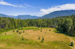 Discover this expansive property featuring a large, open meadow perfect for outdoor activities or potential development.