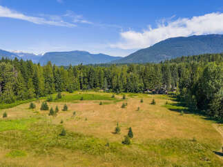Discover this expansive property featuring a large, open meadow perfect for outdoor activities or potential development.