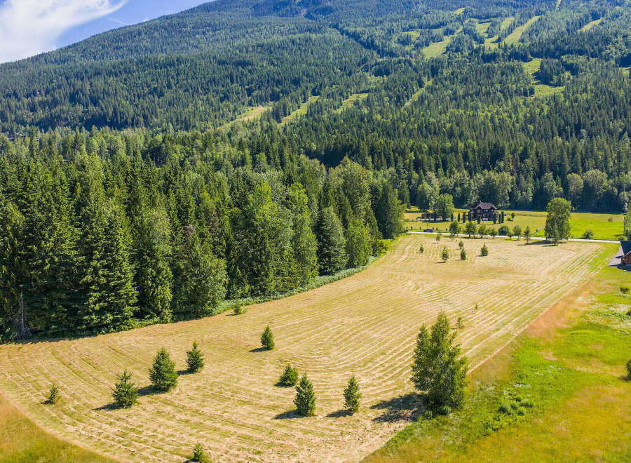 Discover this expansive property nestled against a backdrop of lush evergreen forests and rolling hills.