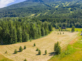 Discover this expansive property nestled against a backdrop of lush evergreen forests and rolling hills.