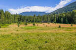 Discover serene living in this picturesque property, nestled amidst a lush forest and expansive meadow.