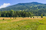 Discover breathtaking mountain views and serene natural beauty from this stunning property.