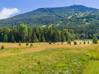 Discover breathtaking mountain views and serene natural beauty from this stunning property.