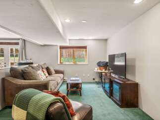 Cozy basement living room featuring a plush brown sofa adorned with decorative pillows and a warm green throw blanket.