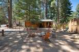 Escape to this charming log cabin nestled amongst tall pine trees, offering a serene retreat.