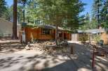 Charming log cabin nestled among tall pine trees, offering a rustic retreat.