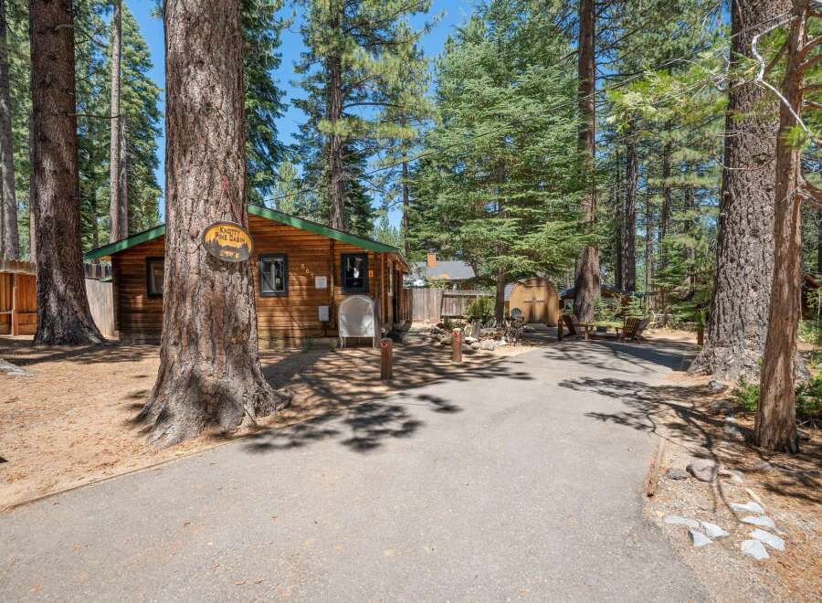 Discover your perfect getaway at Knotty Pine Cabin, a charming rustic retreat nestled among tall pine trees.