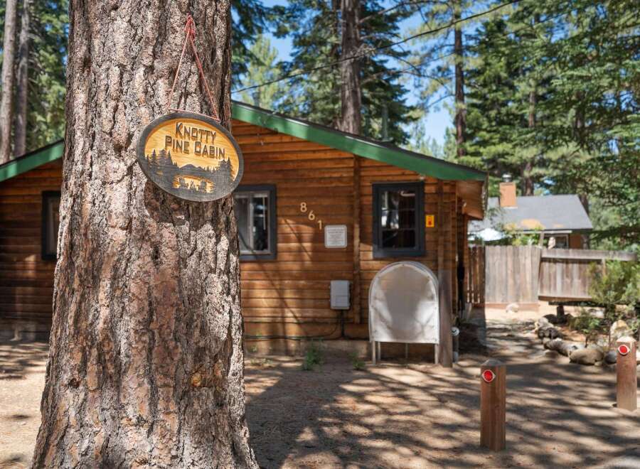 Discover the charm of this rustic Knotty Pine Cabin, nestled among tall trees.